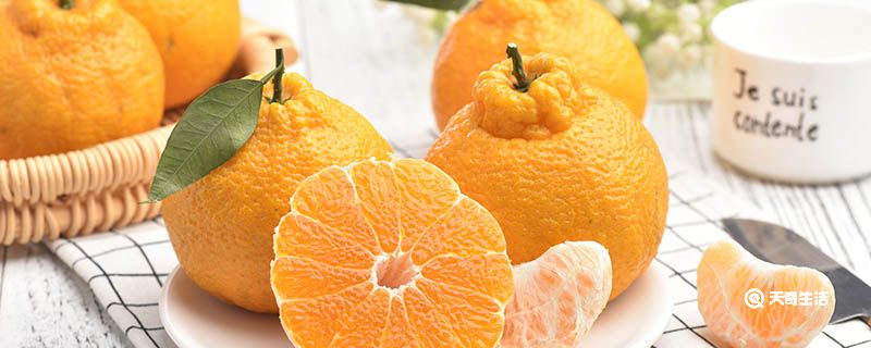 耙耙柑是不是就是丑橘
