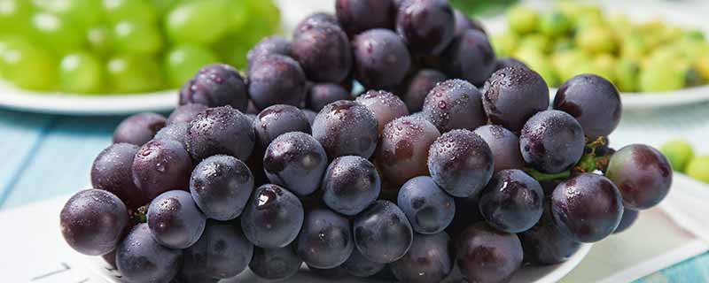 葡萄在哪个季节丰收 葡萄是什么季节丰收的