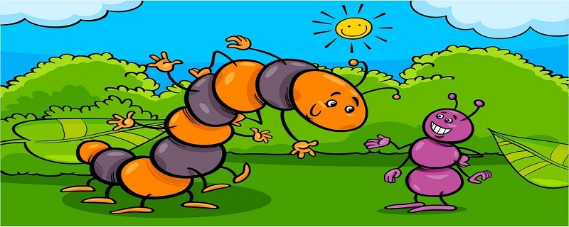 蚂蚁是怎么辨别味道的 蚂蚁怎么辨别味道