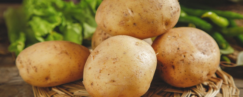 冬季如何储存土豆 冬季储存土豆的方法