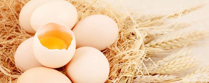 煮完的鸡蛋常温下可以放多久 煮鸡蛋常温能存放几天