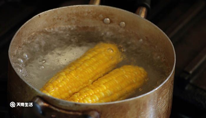 玉米放锅里煮多久才熟