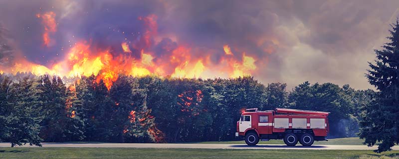 每年什么时候是森林防火戒严期 每年的什么时段属于森林防火严期