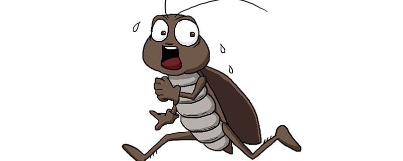 为什么蟑螂喜欢在晚上出来