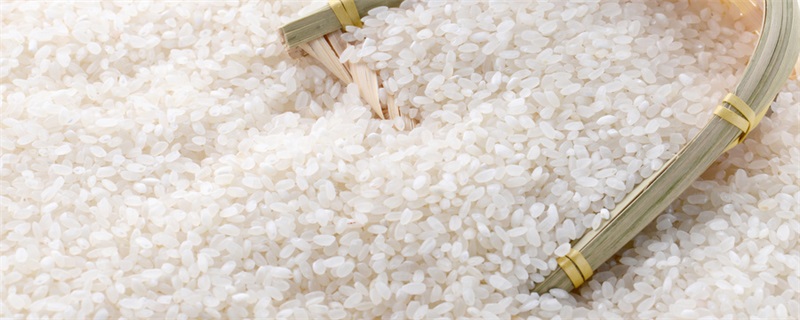 大米的成分有哪些物质 大米的主要成分是什么