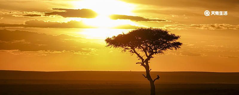 非洲最大的高原