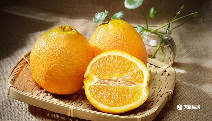橙子的种类