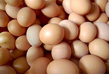 鸡蛋和酸奶可以一起吃吗 鸡蛋和酸奶能一起吃吗