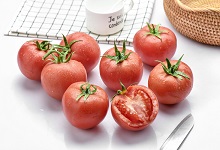 没成熟的青西红柿可以吃 没有成熟的西红柿能吃吗