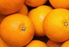 冬天橙子应该怎样保存 冬天橙子怎么保存更久