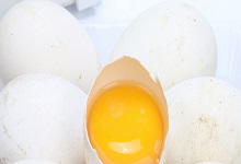 人造鹅蛋和真鹅蛋的区别 人造鹅蛋和真鹅蛋的区别在哪