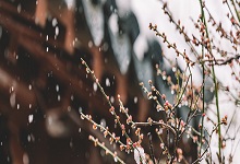 寒雨是什么季节的雨 寒雨多在什么季节出现