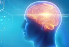 科学的英语怎么读语音 科学的英语怎么读