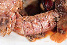 蝼蛄虾和皮皮虾的区别 蝼蛄虾和皮皮虾有什么不同