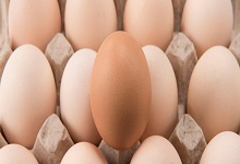 煮鸡蛋需要几分钟 煮鸡蛋多久能熟