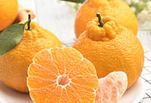 耙耙柑是不是就是丑橘 耙耙柑是丑橘吗