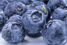 蓝莓是属于酸性的吗