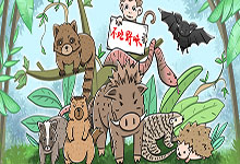 為什么保護野生動物很重要