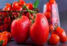 番茄能放冰箱保鲜吗 番茄可以放冰箱保存吗