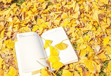 描写秋天的比喻句 有关描写秋天的比喻句