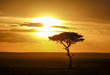 非洲最大的高原 非洲最大的高原是什么