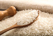 小米和大米哪個熱量高 小米和大米誰熱量高