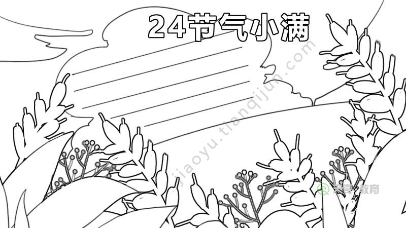 24节气小满手抄报