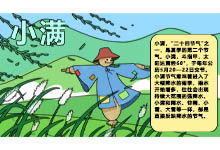 最新小满手抄报内容 最新小满手抄报内容画法