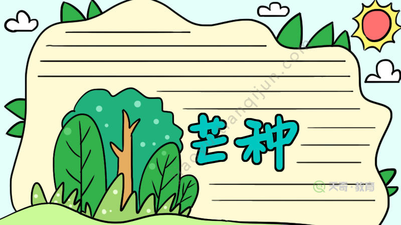 芒种节气手抄报