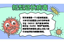 新型冠状病毒手抄报一等奖内容 新型冠状病毒手抄报一等奖内容画法