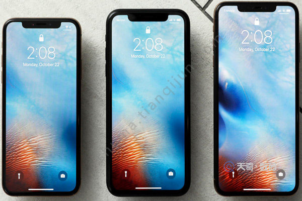 iphonex自拍反向能改吗