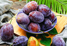台山有哪些特色水果 广东台山特产