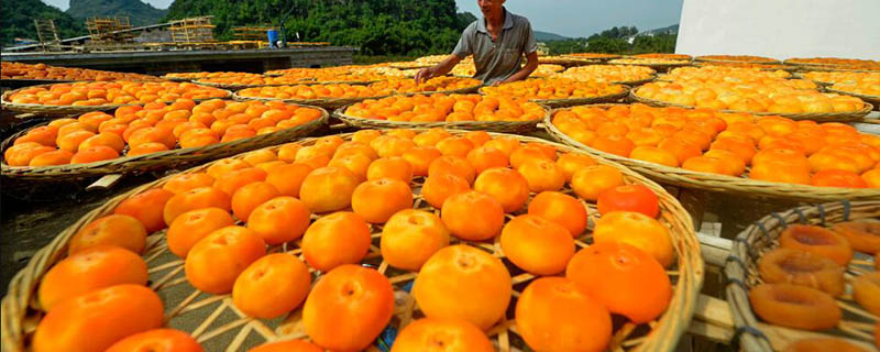 桂林的特色水果