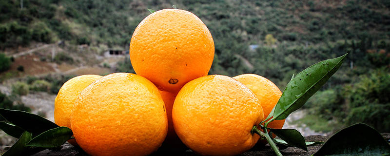 巫山有哪些特色水果 重庆巫山特产