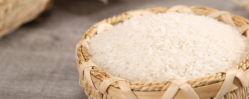 大米的营养成分