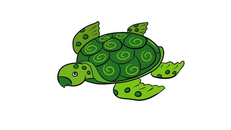 海龟涂色画教程