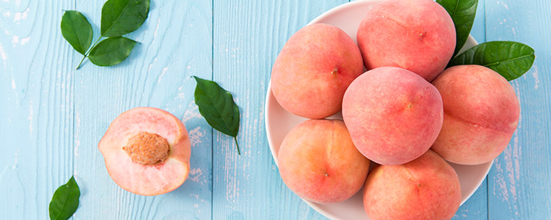 桃子属于酸性还是碱性水果