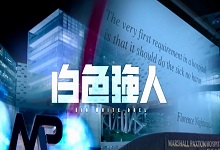 白色强人大结局是什么