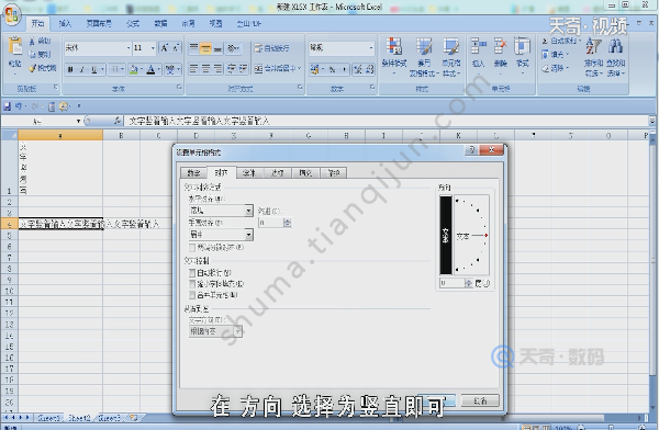 excel中如何输入竖着的文字