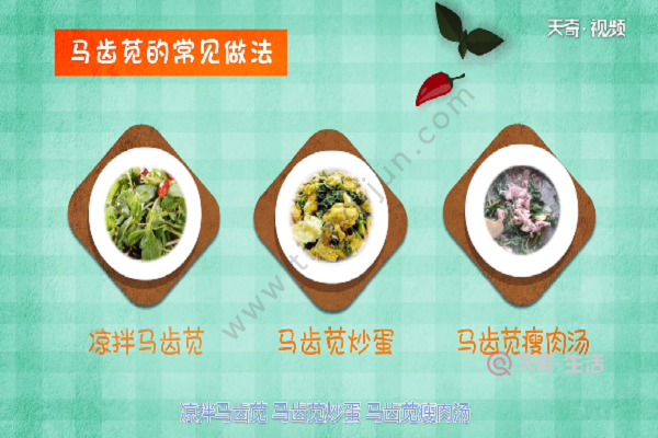馬齒莧的功效與作用