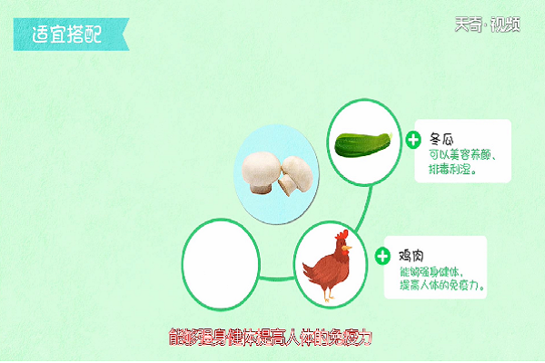 口蘑的功效與作用