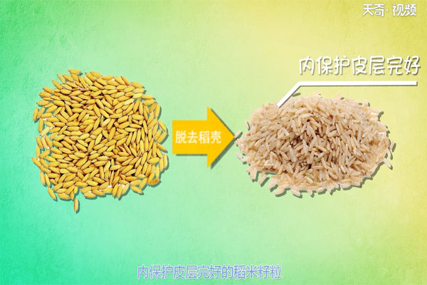 糙米的功效与作用