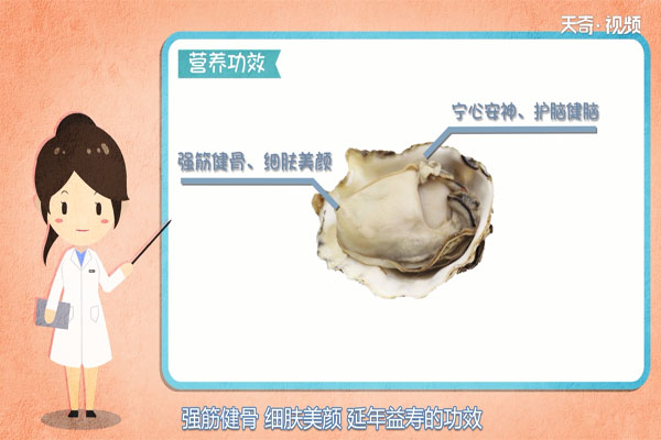 牡蛎的功效与作用