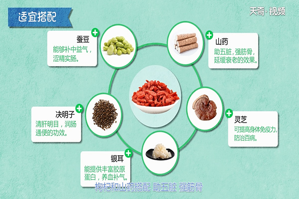 枸杞的功效与作用