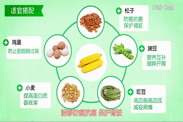 玉米的功效与作用