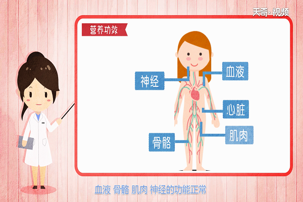 小麥胚芽的功效與作用