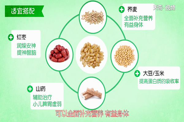 小麥的功效與作用