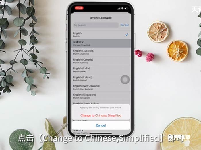 苹果语言怎么改回中文 如何将苹果语言改为中文