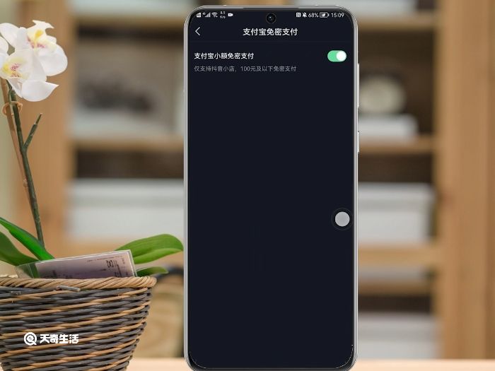 抖音付款免密支付怎么关闭 抖音付款免密支付怎样关闭