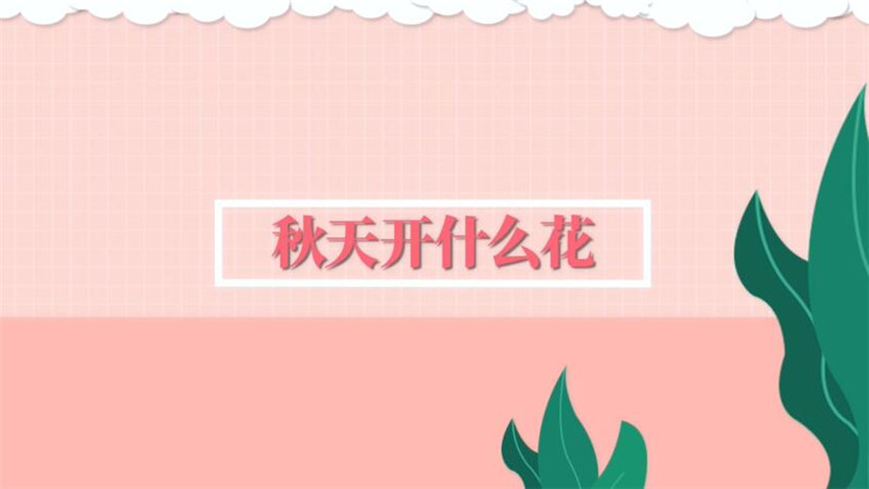 秋天開(kāi)什么花 秋天開(kāi)哪些花